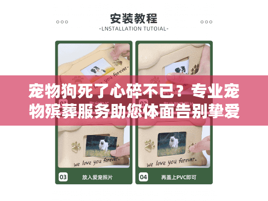 宠物狗死了心碎不已？专业宠物殡葬服务助您体面告别挚爱