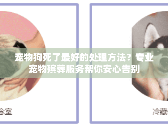 宠物狗死了最好的处理方法？专业宠物殡葬服务帮你安心告别