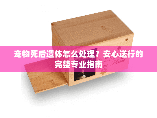 宠物死后遗体怎么处理?安心送行的完整专业指南 宠物死后遗体怎么处理?安心送行的完整专业指南
