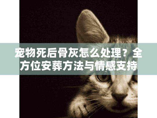宠物死后骨灰怎么处理？全方位安葬方法与情感支持指南
