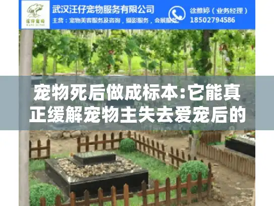 宠物死后做成标本:它能真正缓解宠物主失去爱宠后的情感伤痛吗?