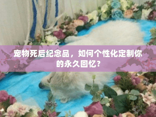 宠物死后纪念品，如何个性化定制你的永久回忆？