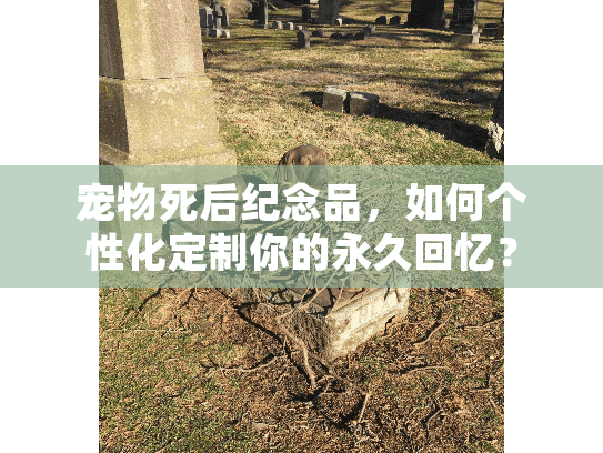 宠物死后纪念品，如何个性化定制你的永久回忆？