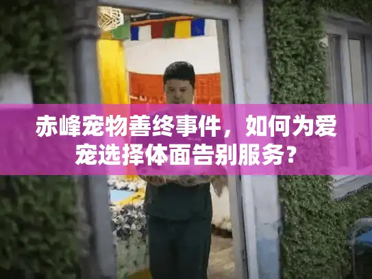 赤峰宠物善终事件，如何为爱宠选择体面告别服务？
