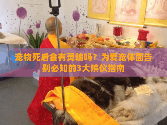 宠物死后会有灵魂吗?为爱宠体面告别必知的3大殡仪指南 宠物死后会有灵魂吗?为爱宠体面告别必知的3大殡仪指南