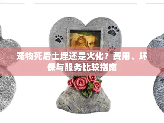 宠物死后土埋还是火化？费用、环保与服务比较指南