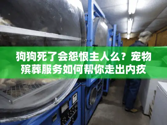 狗狗死了会怨恨主人么？宠物殡葬服务如何帮你走出内疚