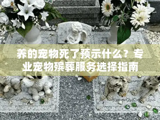养的宠物死了预示什么?专业宠物殡葬服务选择指南 养的宠物死了预示什么?专业宠物殡葬服务选择指南