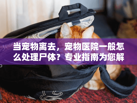 当宠物离去,宠物医院一般怎么处理尸体?专业指南为您解惑 当宠物离去,宠物医院一般怎么处理尸体?专业指南为您解惑