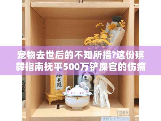 宠物去世后的不知所措?这份殡葬指南抚平500万铲屎官的伤痛
