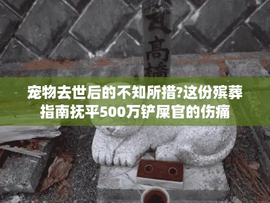 宠物去世后的不知所措?这份殡葬指南抚平500万铲屎官的伤痛