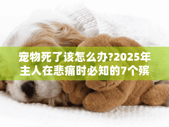 宠物死了该怎么办?2025年主人在悲痛时必知的7个殡葬指南