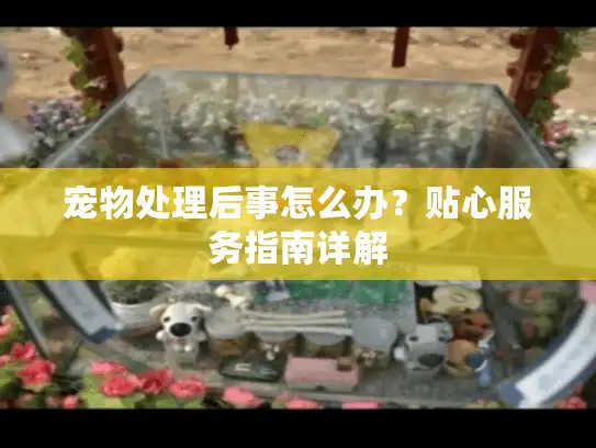 宠物处理后事怎么办？贴心服务指南详解