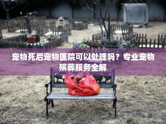 宠物死后宠物医院可以处理吗？专业宠物殡葬服务全解