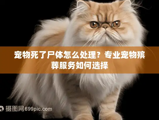 宠物死了尸体怎么处理？专业宠物殡葬服务如何选择