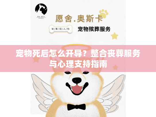 宠物死后怎么开导？整合丧葬服务与心理支持指南