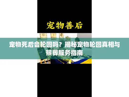 宠物死后会轮回吗?揭秘宠物轮回真相与殡葬服务指南 宠物死后会轮回吗?揭秘宠物轮回真相与殡葬服务指南