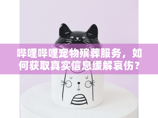哔哩哔哩宠物殡葬服务，如何获取真实信息缓解哀伤？
