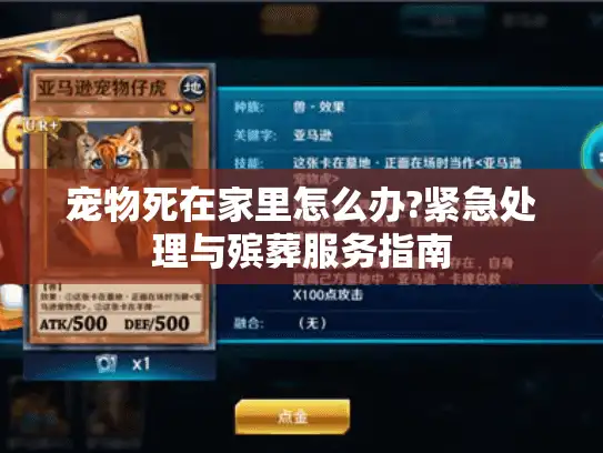 宠物死在家里怎么办?紧急处理与殡葬服务指南