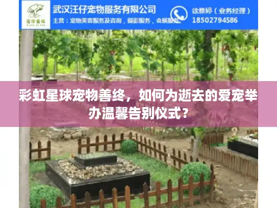 彩虹星球宠物善终，如何为逝去的爱宠举办温馨告别仪式？