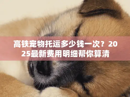 高铁宠物托运多少钱一次？2025最新费用明细帮你算清