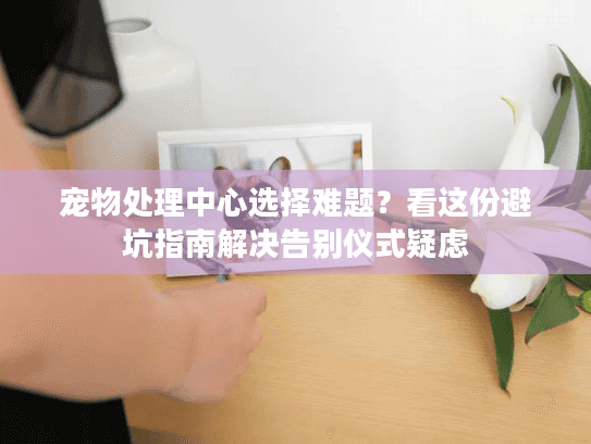 宠物处理中心选择难题？看这份避坑指南解决告别仪式疑虑
