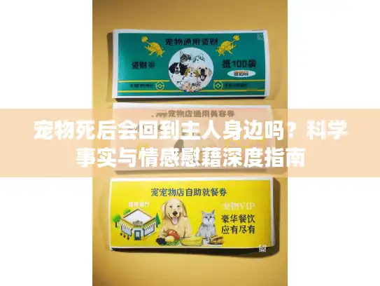 宠物死后会回到主人身边吗？科学事实与情感慰藉深度指南