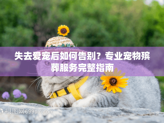 失去爱宠后如何告别？专业宠物殡葬服务完整指南