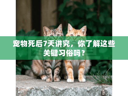 宠物死后7天讲究，你了解这些关键习俗吗？