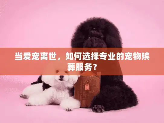 当爱宠离世,如何选择专业的宠物殡葬服务? 当爱宠离世,如何选择专业的宠物殡葬服务?