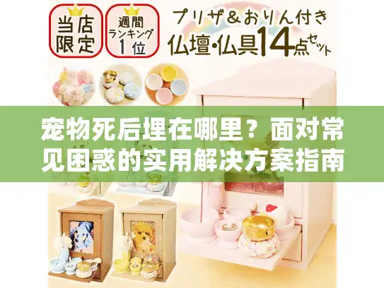 宠物死后埋在哪里？面对常见困惑的实用解决方案指南