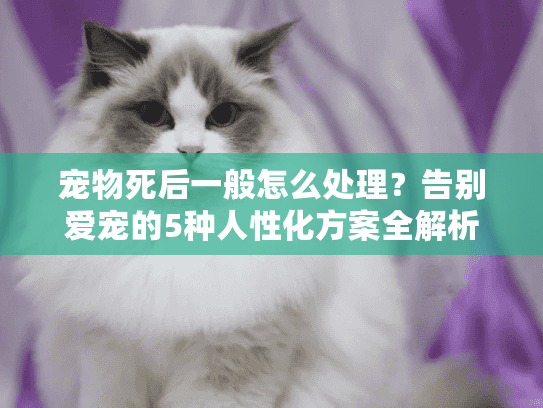 宠物死后一般怎么处理？告别爱宠的5种人性化方案全解析