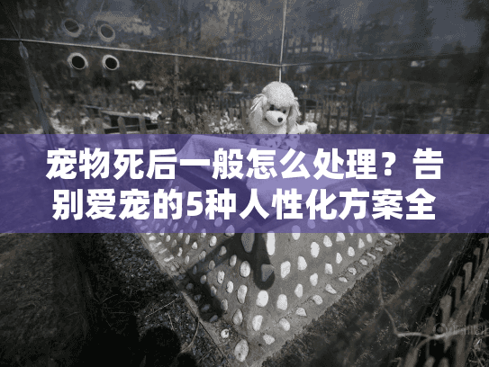 宠物死后一般怎么处理？告别爱宠的5种人性化方案全解析