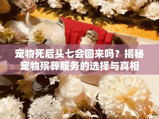 宠物死后头七会回来吗?揭秘宠物殡葬服务的选择与真相 宠物死后头七会回来吗?揭秘宠物殡葬服务的选择与真相