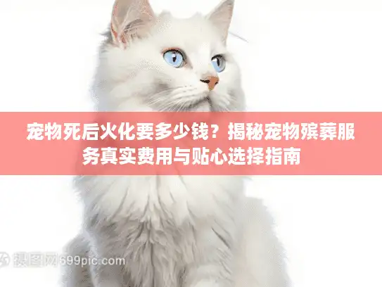 宠物死后火化要多少钱?揭秘宠物殡葬服务真实费用与贴心选择指南 宠物死后火化要多少钱?揭秘宠物殡葬服务真实费用与贴心选择指南