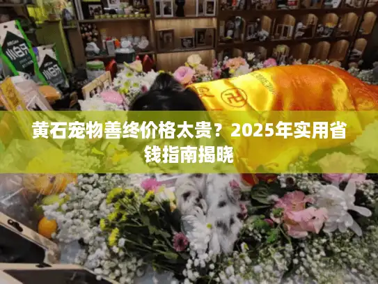 黄石宠物善终价格太贵？2025年实用省钱指南揭晓