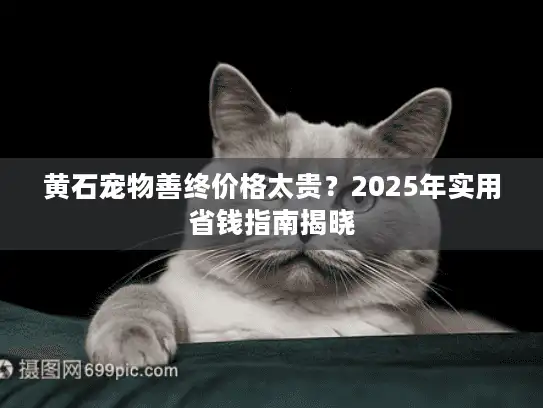黄石宠物善终价格太贵？2025年实用省钱指南揭晓