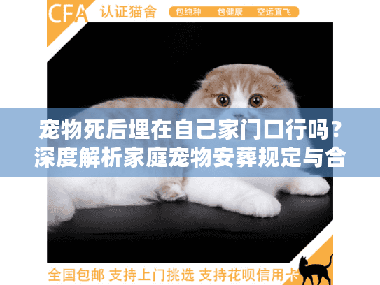 宠物死后埋在自己家门口行吗？深度解析家庭宠物安葬规定与合法风险