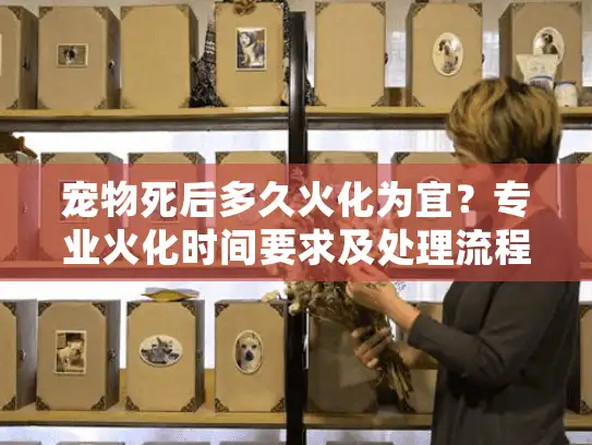 宠物死后多久火化为宜？专业火化时间要求及处理流程必读！