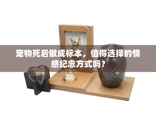 宠物死后做成标本，值得选择的情感纪念方式吗？