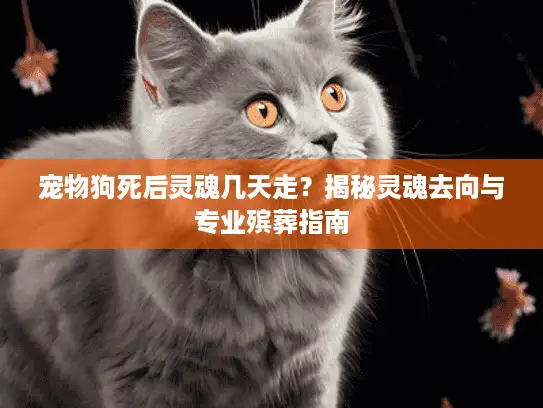 宠物狗死后灵魂几天走？揭秘灵魂去向与专业殡葬指南