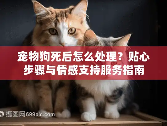 宠物狗死后怎么处理？贴心步骤与情感支持服务指南
