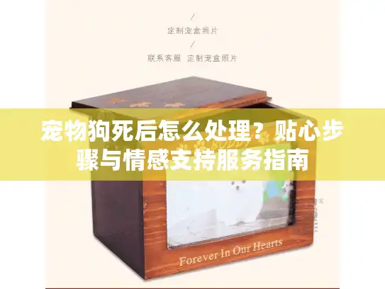 宠物狗死后怎么处理？贴心步骤与情感支持服务指南