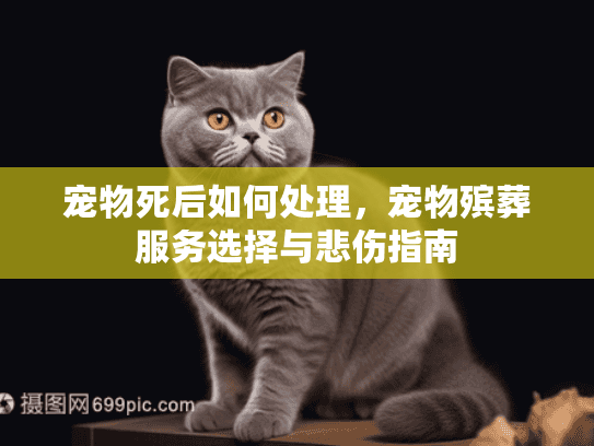 宠物死后如何处理，宠物殡葬服务选择与悲伤指南