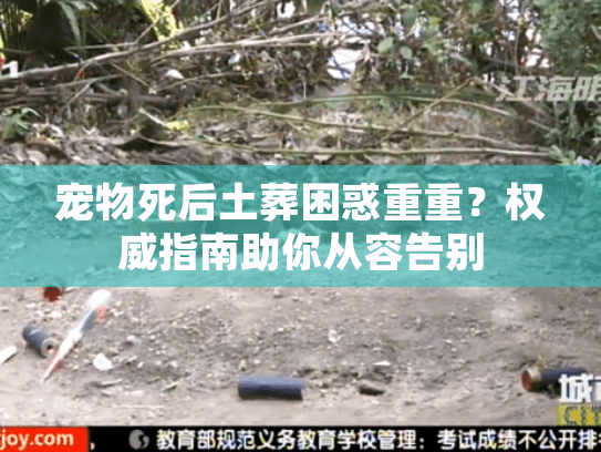 宠物死后土葬困惑重重？权威指南助你从容告别