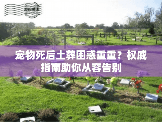 宠物死后土葬困惑重重？权威指南助你从容告别