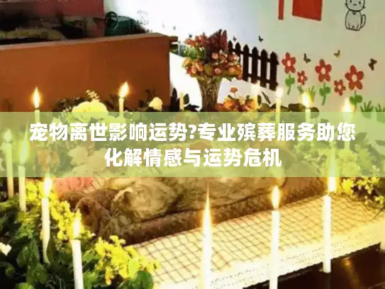 宠物离世影响运势?专业殡葬服务助您化解情感与运势危机 宠物离世影响运势?专业殡葬服务助您化解情感与运势危机