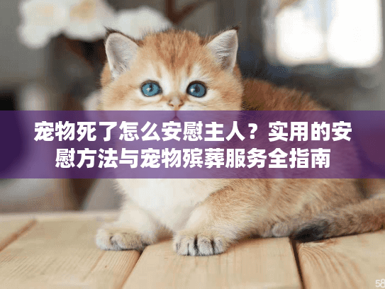 宠物死了怎么安慰主人?实用的安慰方法与宠物殡葬服务全指南 宠物死了怎么安慰主人?实用的安慰方法与宠物殡葬服务全指南