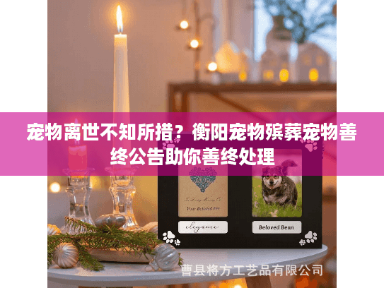 宠物离世不知所措？衡阳宠物殡葬宠物善终公告助你善终处理