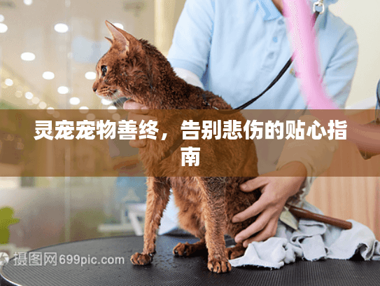 灵宠宠物善终,告别悲伤的贴心指南 灵宠宠物善终,告别悲伤的贴心指南